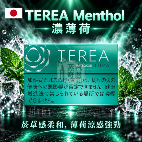 TEREA Menthol濃薄荷