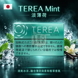 日本TEREA Mint淡薄荷